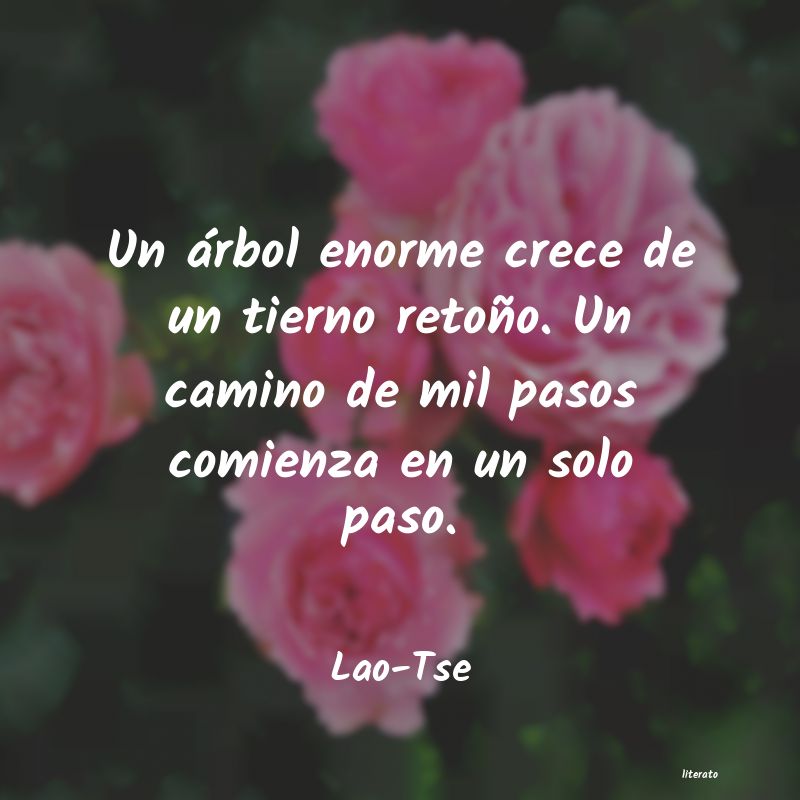 frases de Lao-Tse