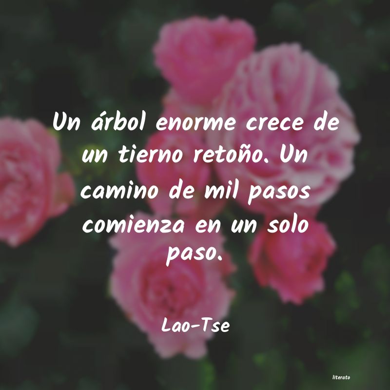 Frases de Lao-Tse