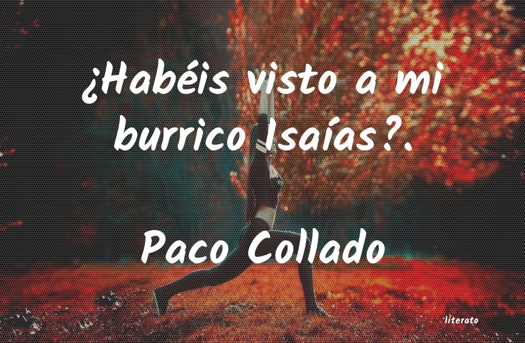 frases de Paco Collado