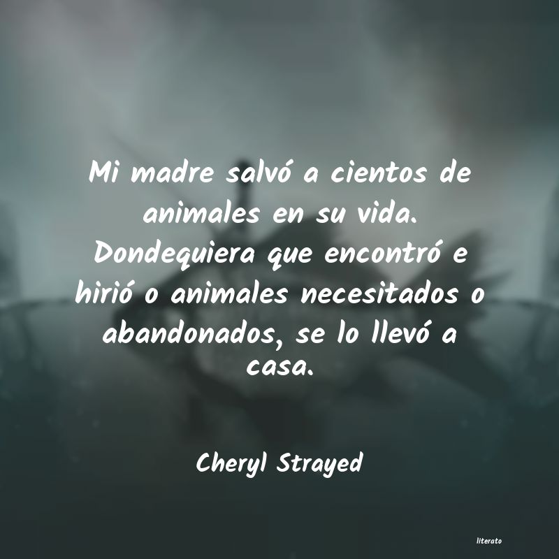 Frases de Cheryl Strayed