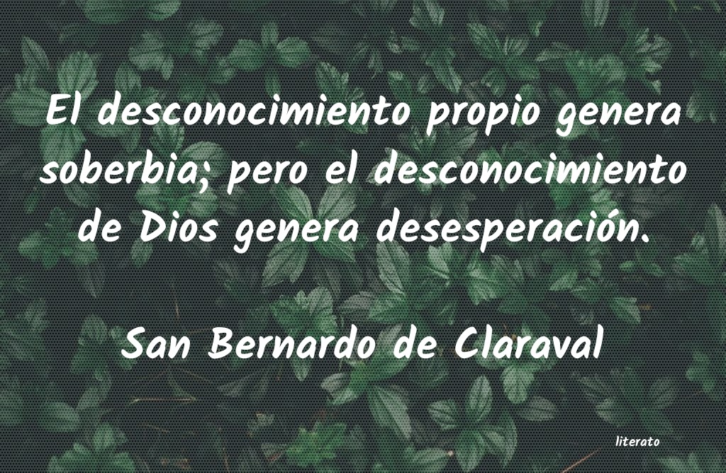 Frases de San Bernardo de Claraval