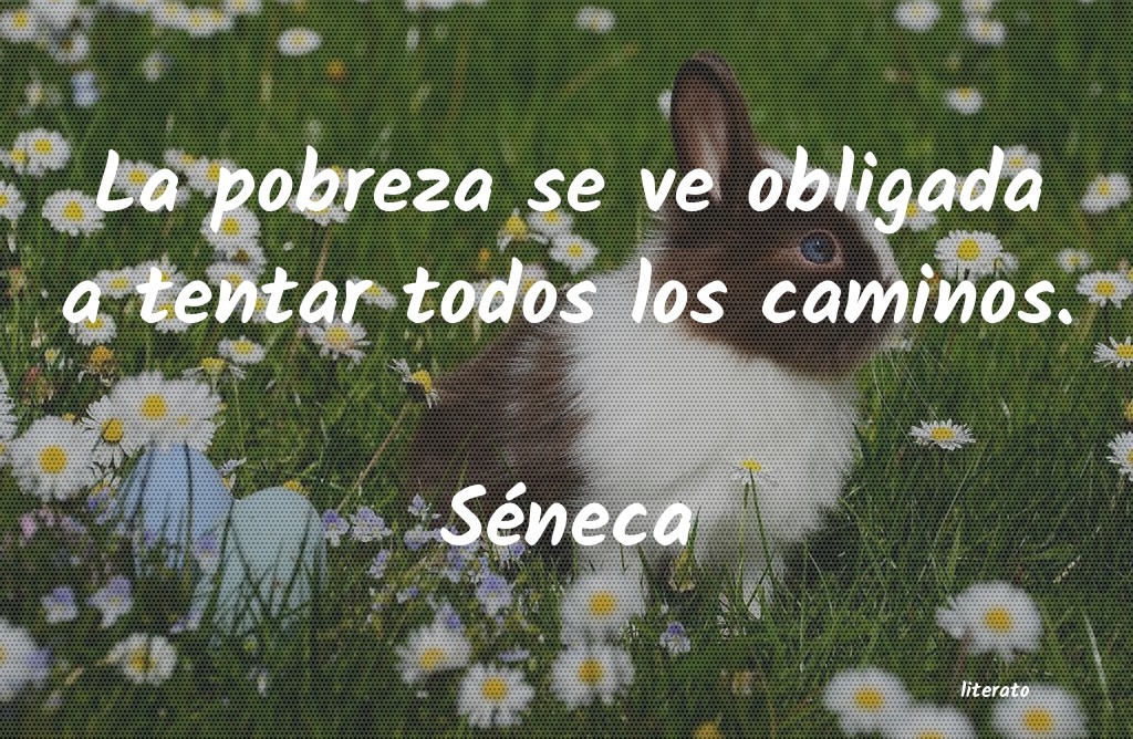 frases de Séneca