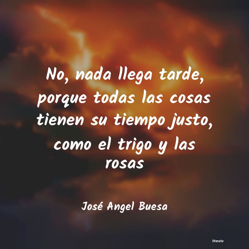 frases de JosÃ© Angel Buesa