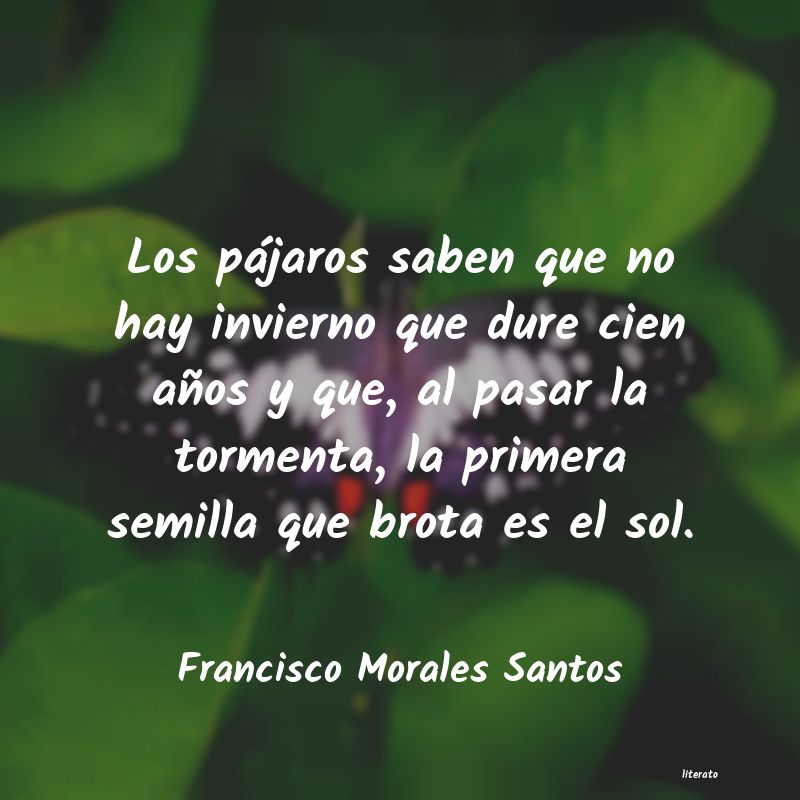 frases de Francisco Morales Santos