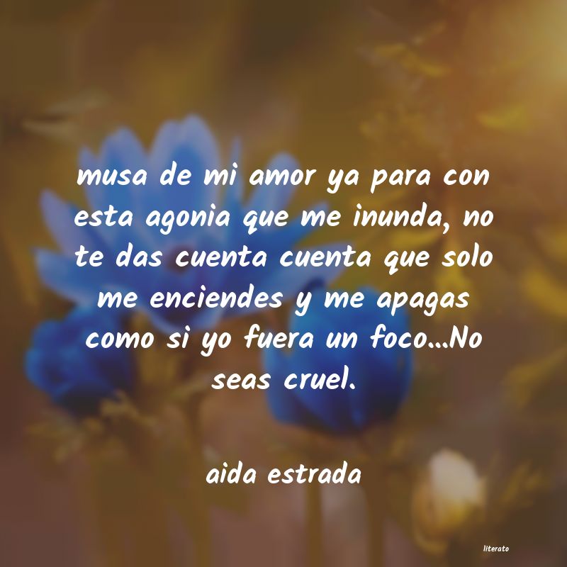 Frases de aida estrada