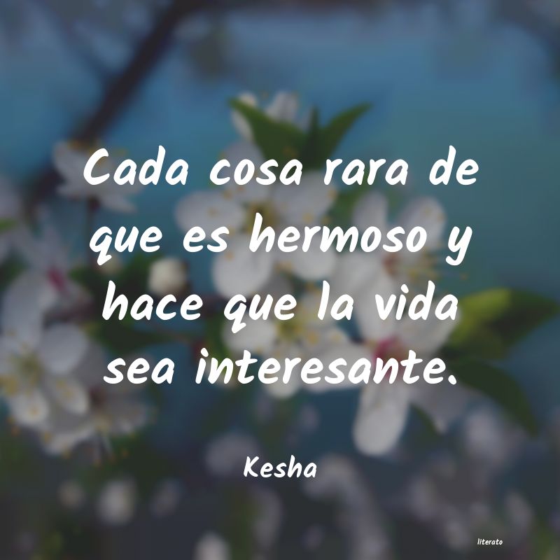 frases de Kesha