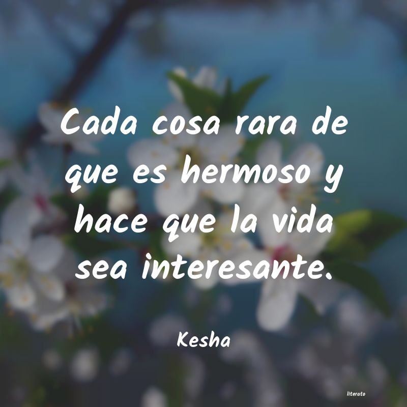 Frases de Kesha