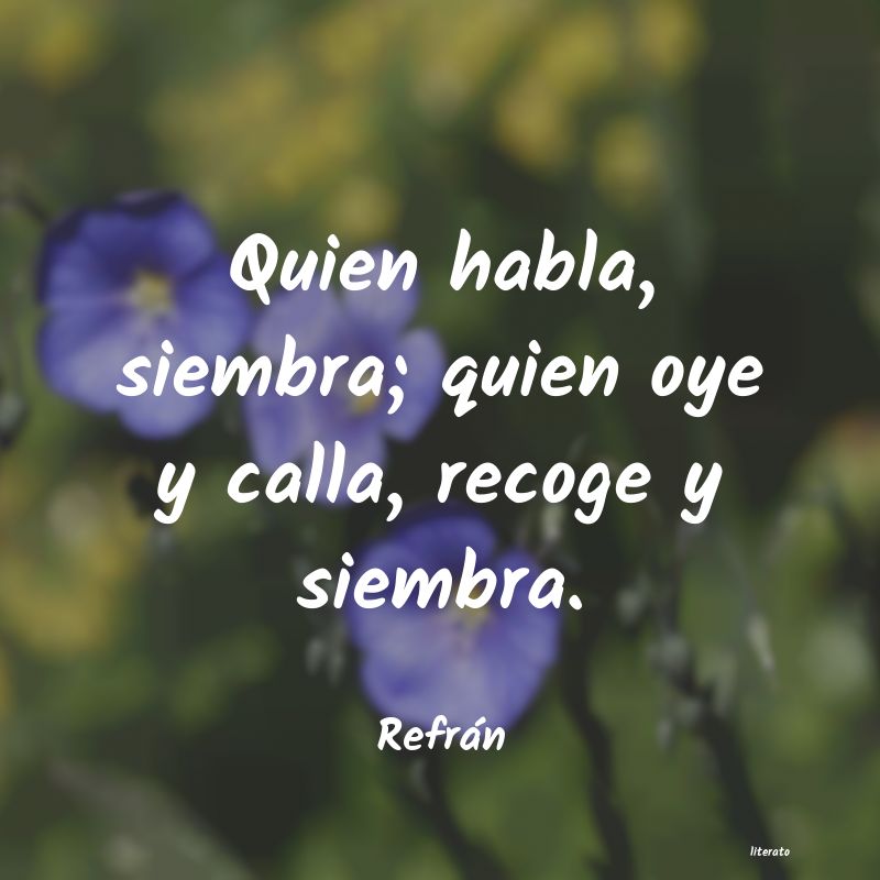 frases de Refrán