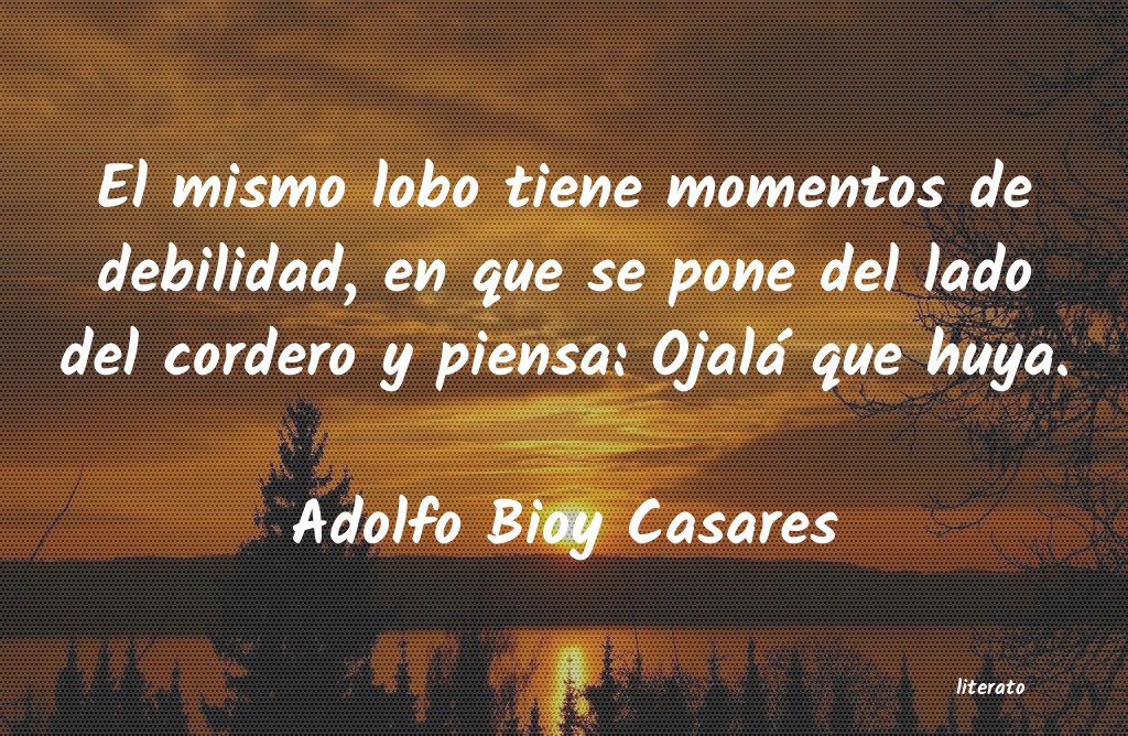 frases de Adolfo Bioy Casares