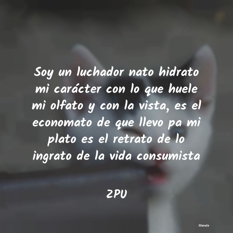 Frases de ZPU