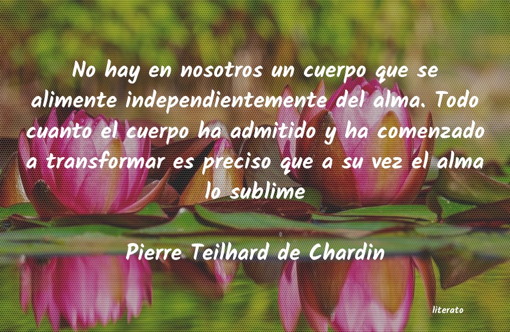 Frases de Pierre Teilhard de Chardin