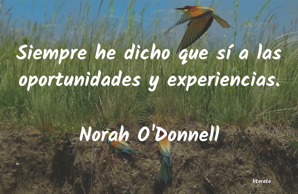 Frases de Norah O'Donnell