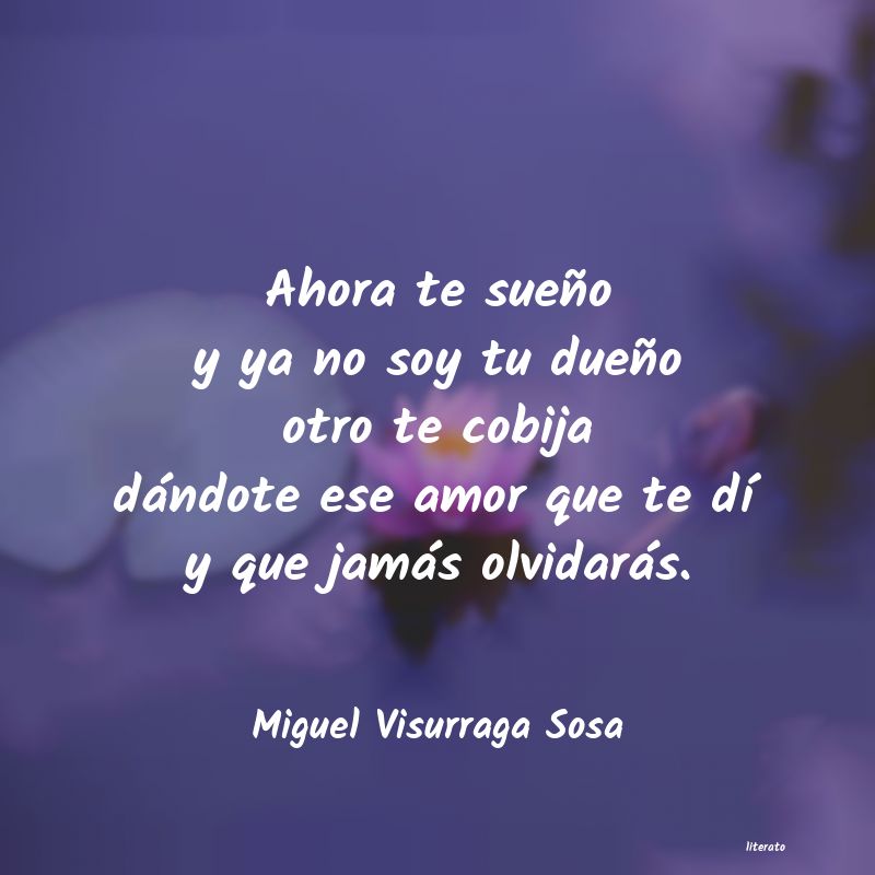 frases de Miguel Visurraga Sosa