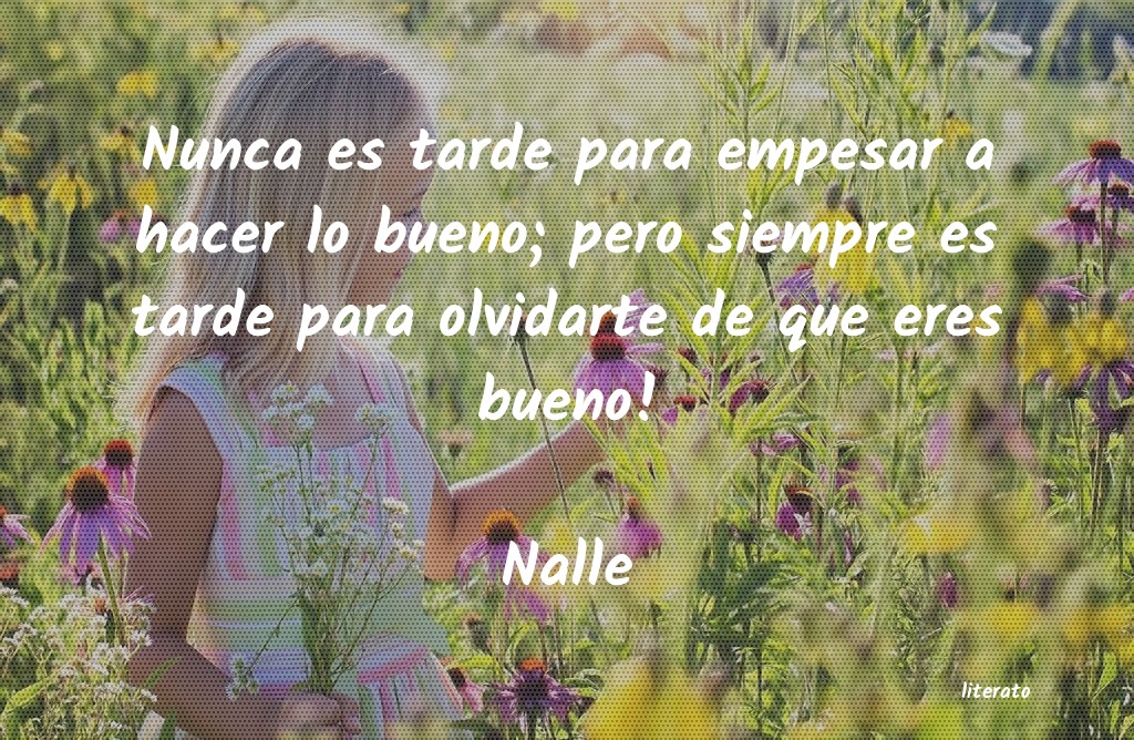 Frases de Nalle