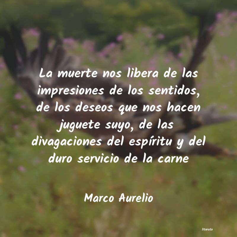 Frases de Marco Aurelio