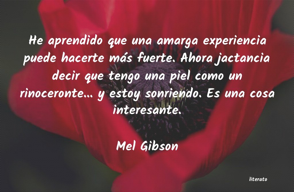 Frases de Mel Gibson