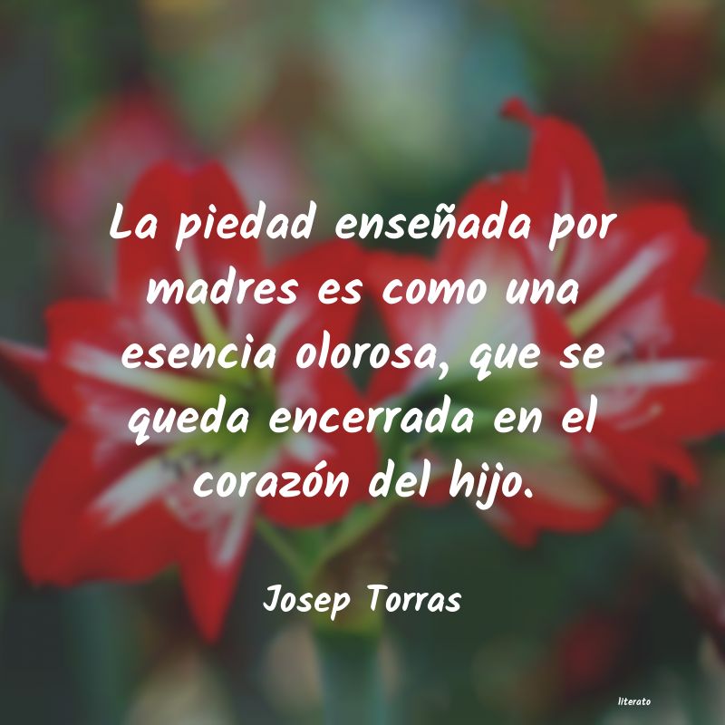 Frases de Josep Torras