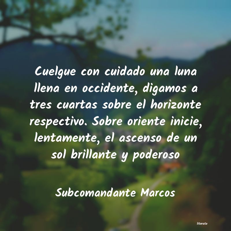 Frases de Subcomandante Marcos