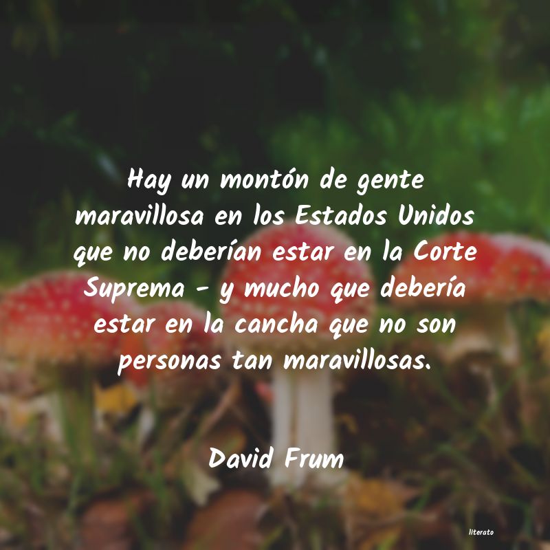 Frases de David Frum