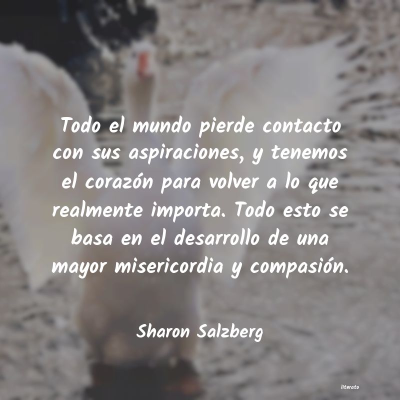 Frases de Sharon Salzberg