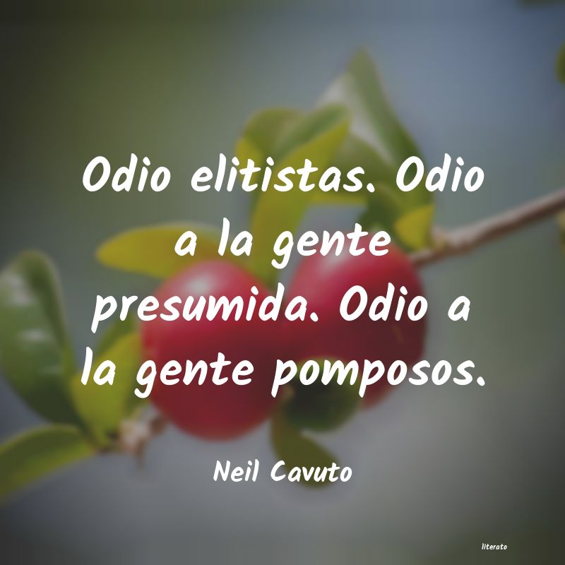 frases de Neil Cavuto