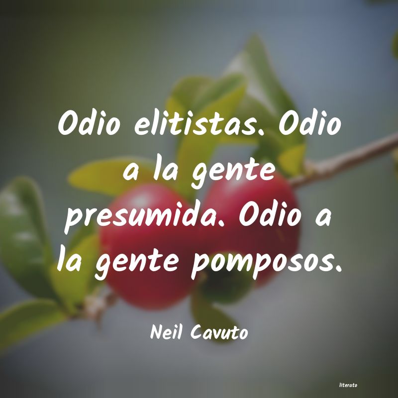 Frases de Neil Cavuto