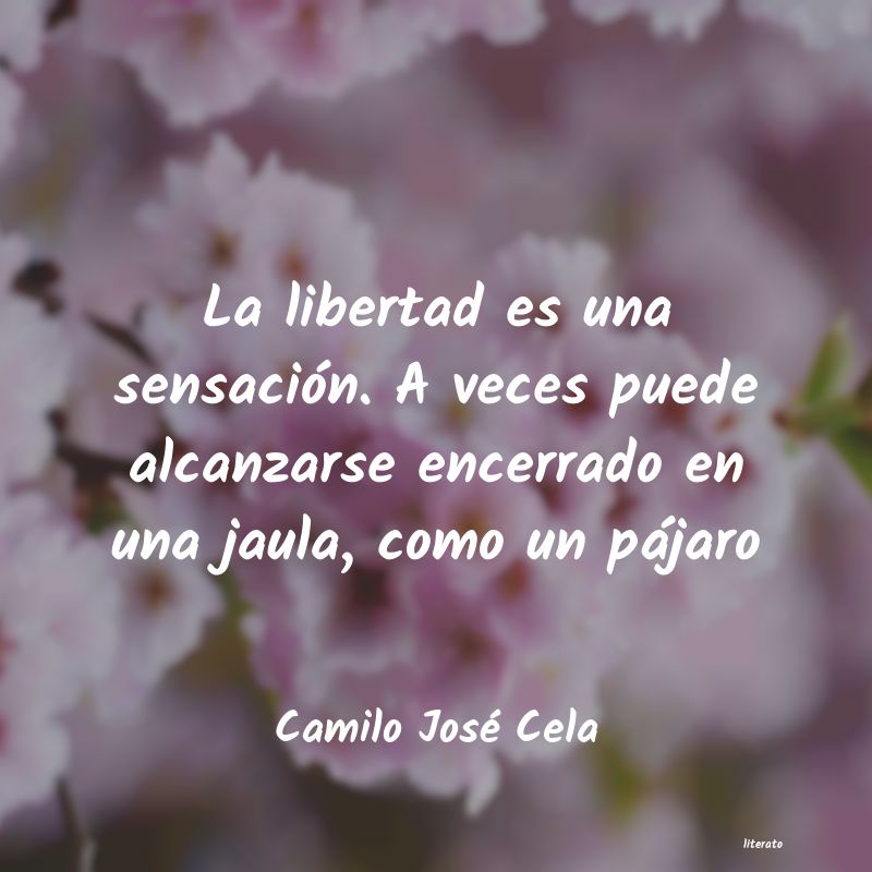 Frases de Camilo José Cela