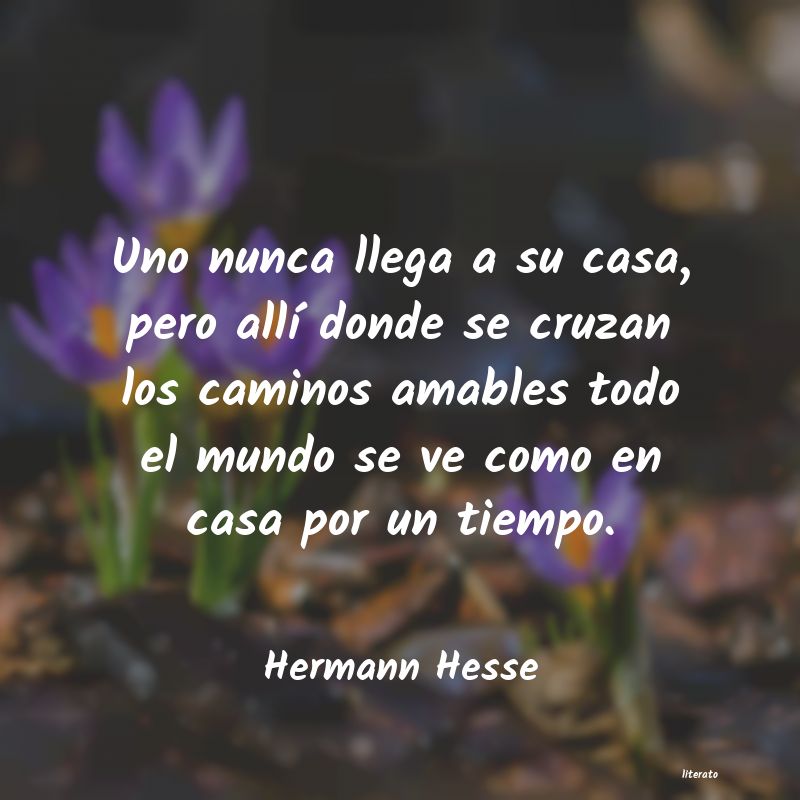 frases de Hermann Hesse
