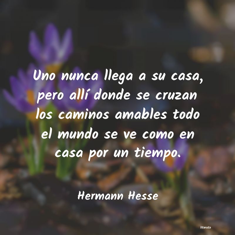 Frases de Hermann Hesse