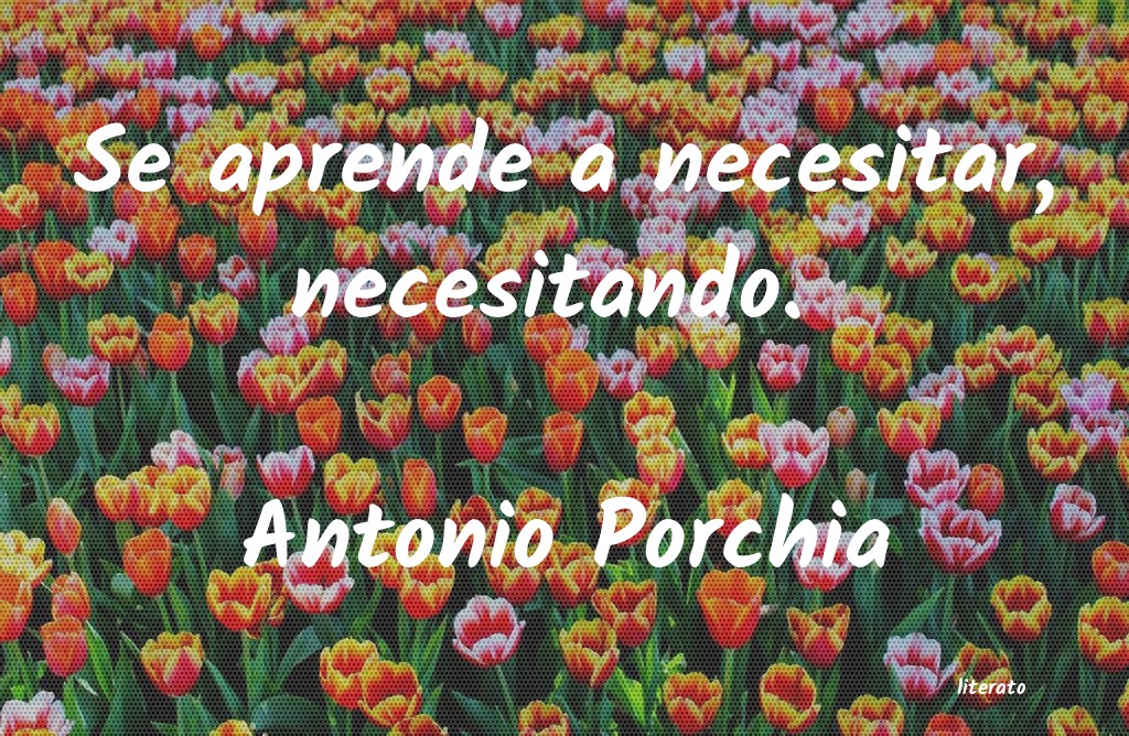 frases de Antonio Porchia