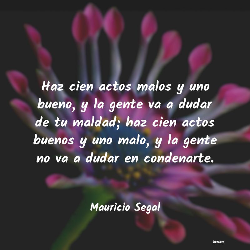 Frases de Mauricio Segal