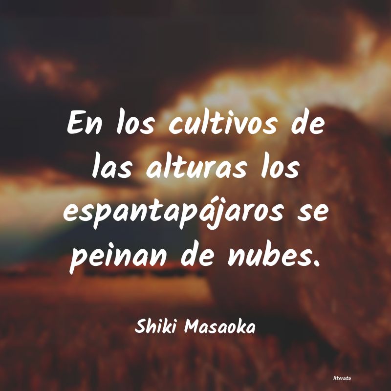 Frases de Shiki Masaoka