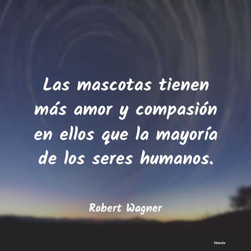 Frases de Robert Wagner