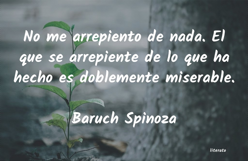 Frases de Baruch Spinoza