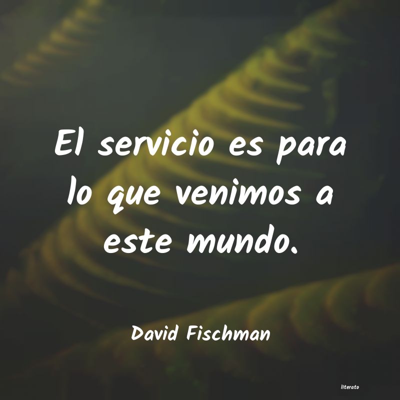 Frases de David Fischman