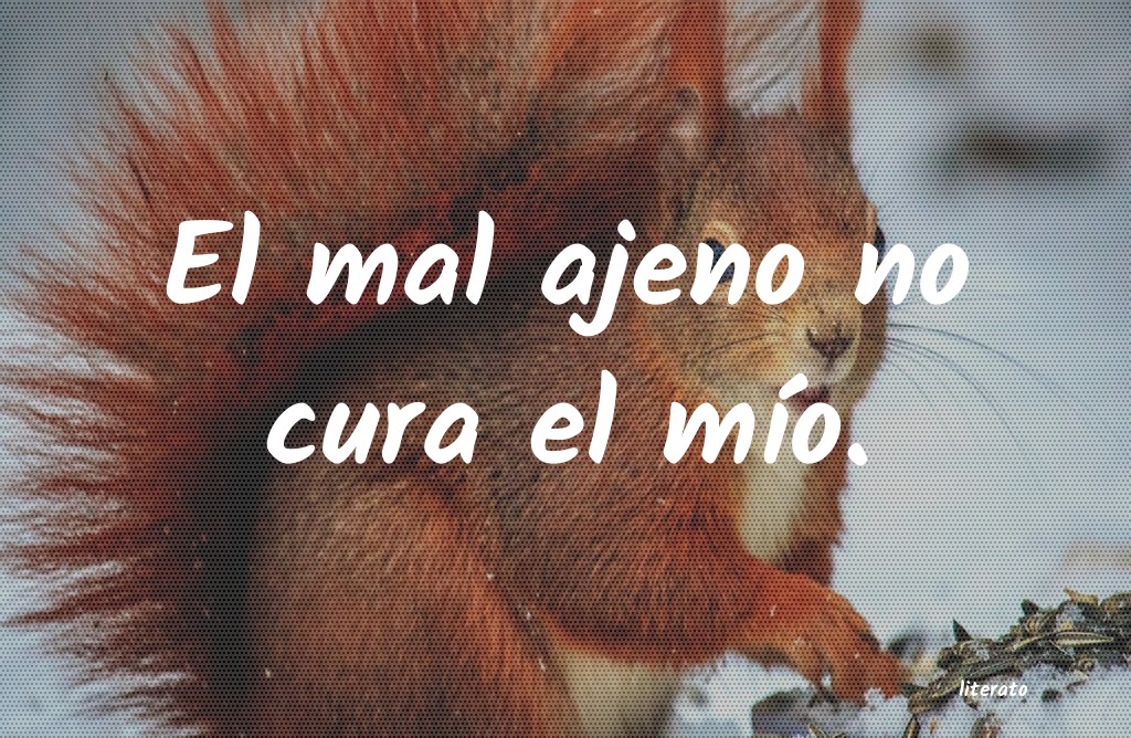 frases