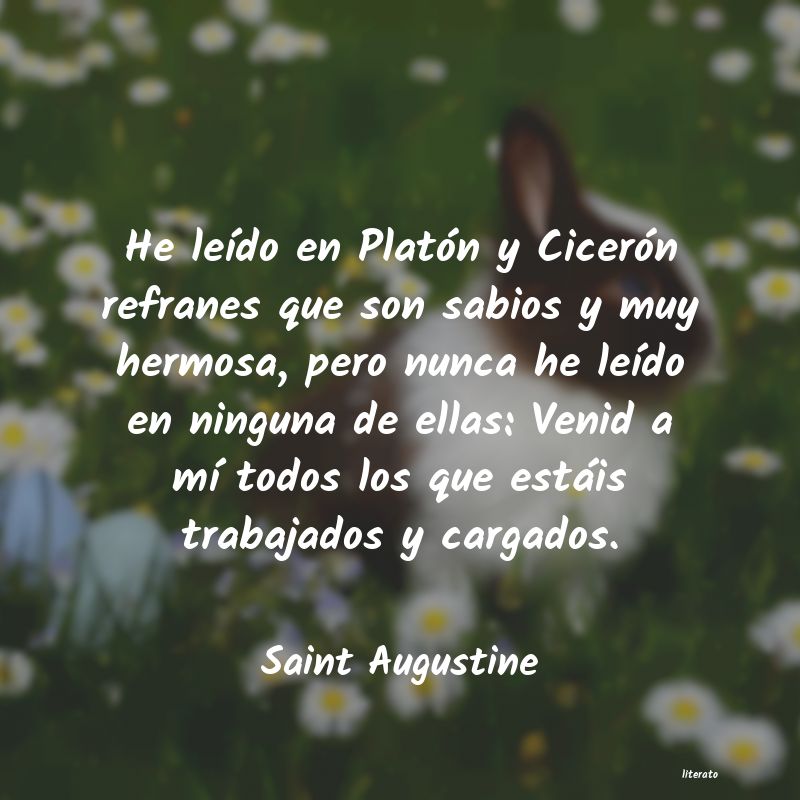 Frases de Saint Augustine