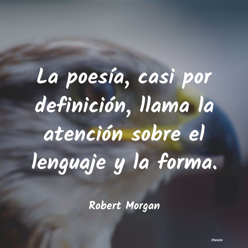 Frases de Robert Morgan