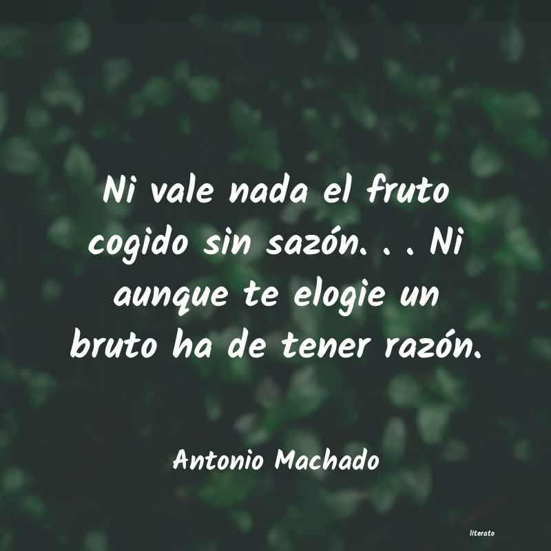 Frases de Antonio Machado