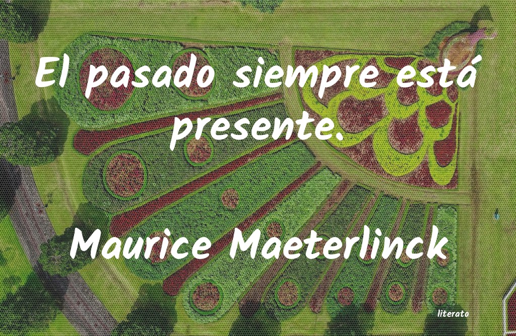 Frases de Maurice Maeterlinck