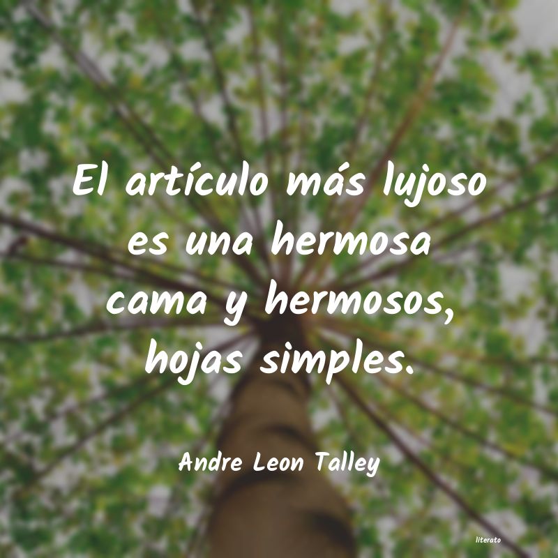 frases de Andre Leon Talley