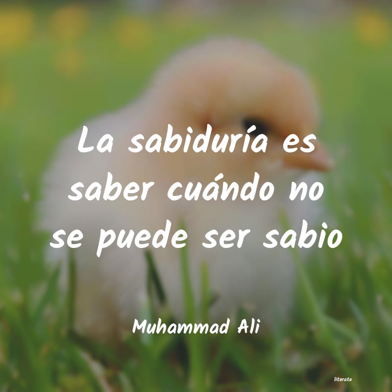 frases de Muhammad Ali