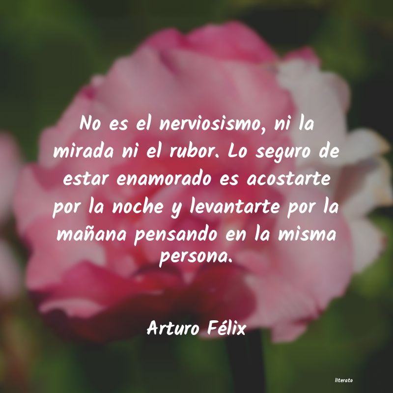 Frases de Arturo Félix