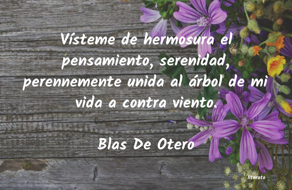 Frases de Blas De Otero