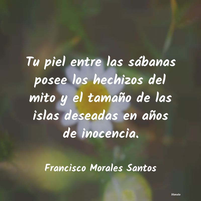 frases de Francisco Morales Santos