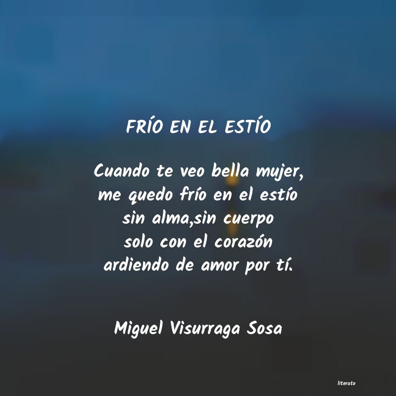 Frases de Miguel Visurraga Sosa