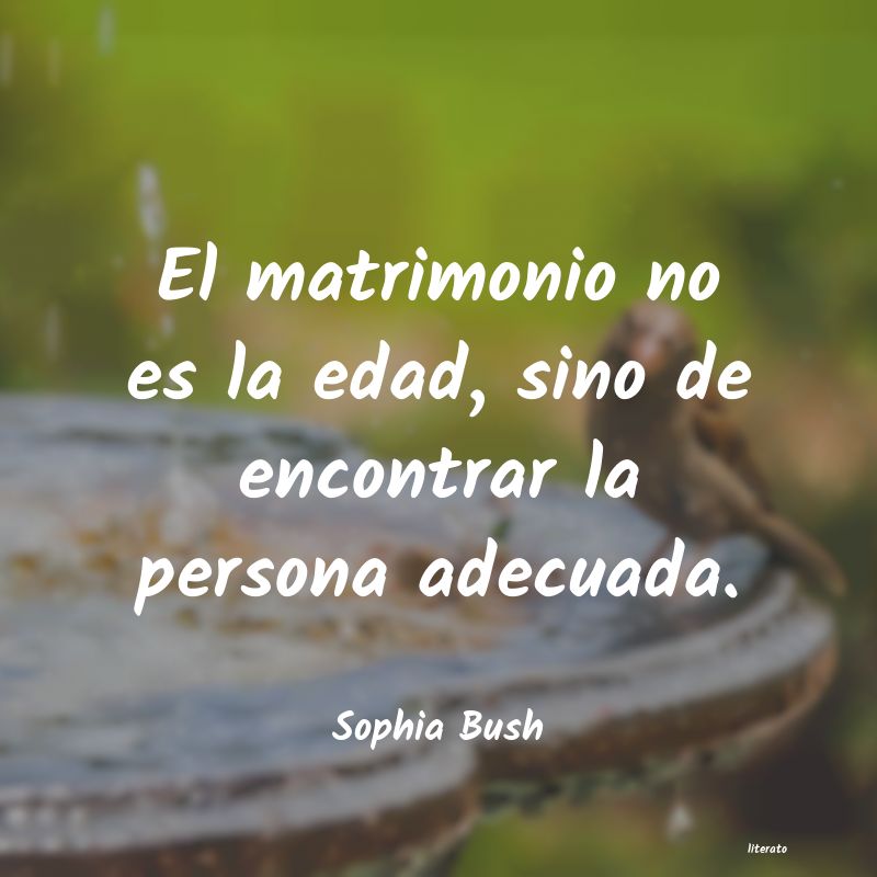 frases de Sophia Bush