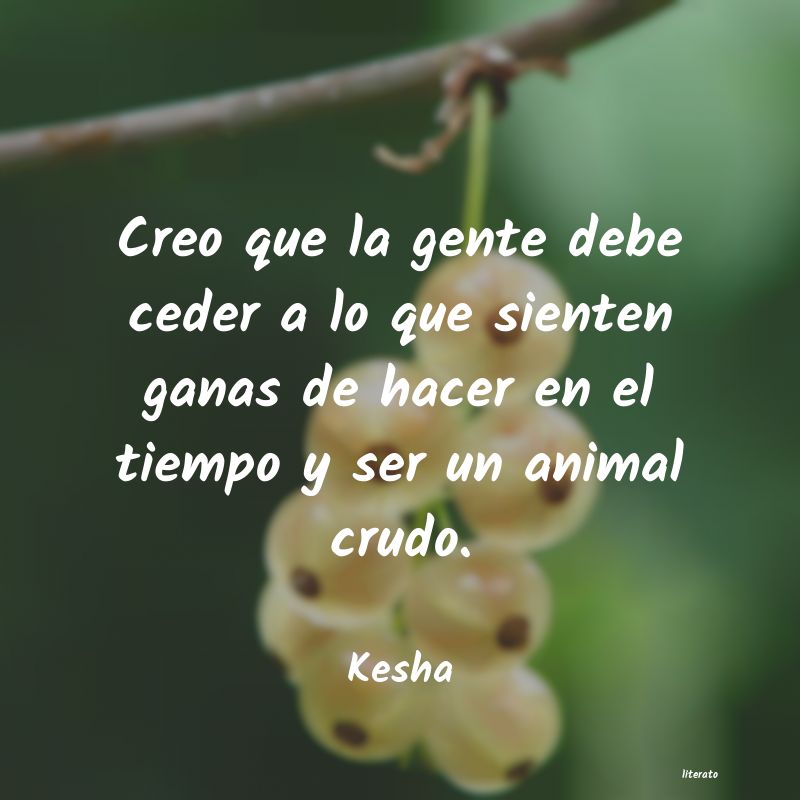 frases de Kesha