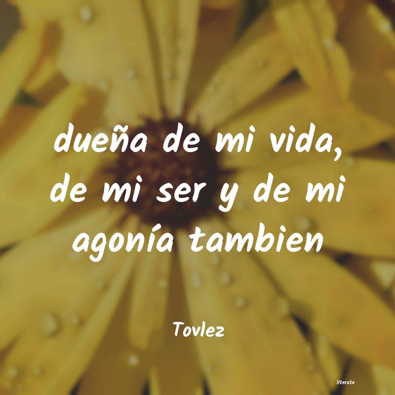 Frases de Tovlez