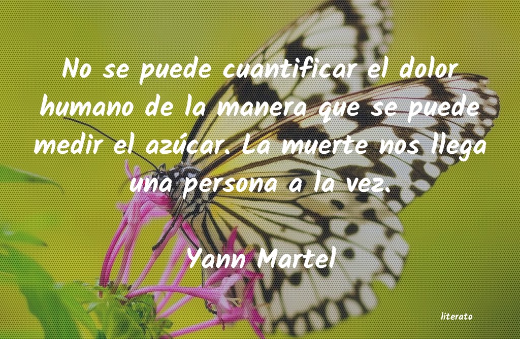 Frases de Yann Martel